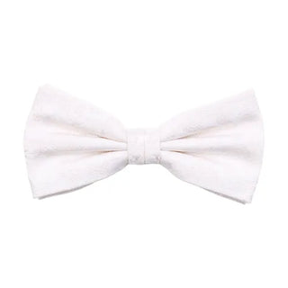 Färdigknuten fluga i siden med ton-i-ton paisleymönster i färgen cream, 6 cm bred – elegant accessoar från AC mot vit bakgrund, med justerbart resårband.