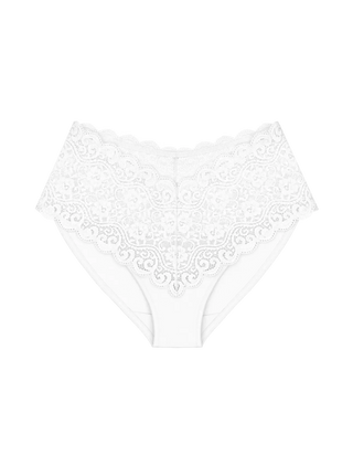 Triumph Amourette Maxitrosa - Vit fotad med vit bakgrund